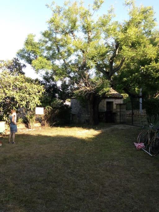 Maison De Clos Du Bayle Hébergement de vacances *